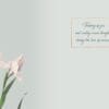 - 564-IOPE0232L_1_lg.jpg