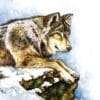 - 564-IOPI0599L_lg.jpg
