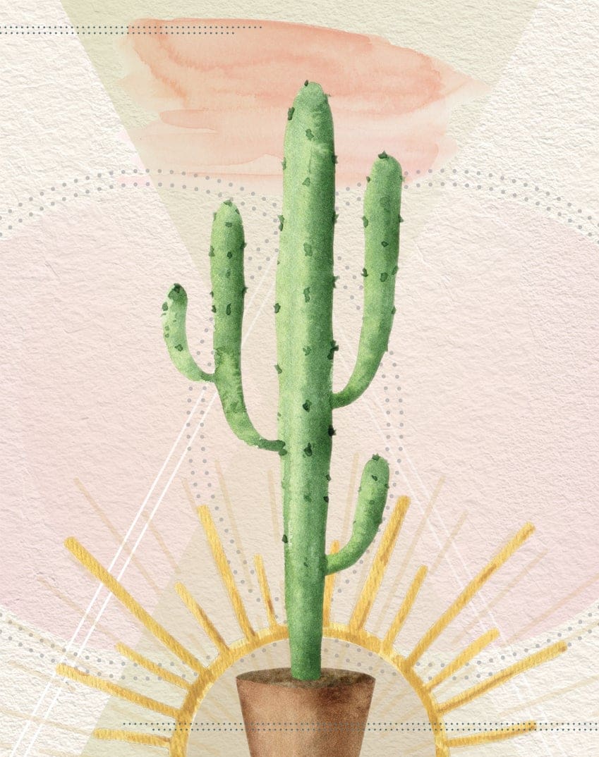  - 9884-ENCCAL0073_lg.jpg