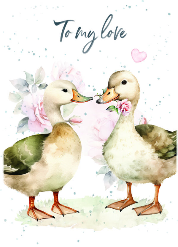 - 947-HOP0240