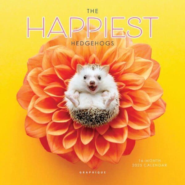 CALENDAR/Happiest Hedgehogs - Bellaflor