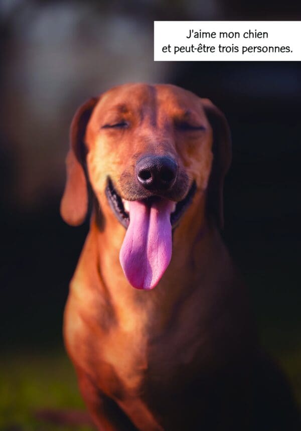  - 223A-005-00019-000_lg