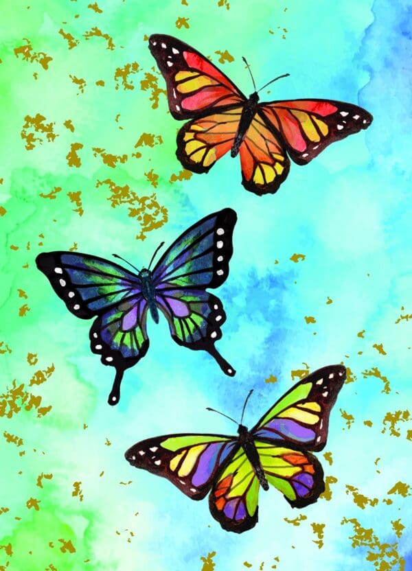  - 223A-005-10003-000_lg