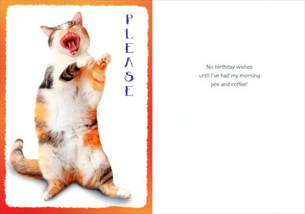  - 2800-774-01191_lgjpg