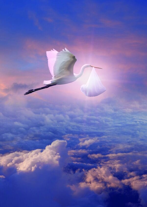  - 2800-774-01296_lgjpg