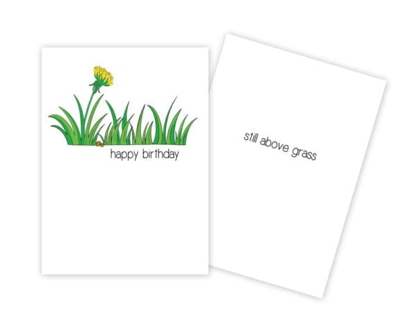  - 430-CD8041BD_lgjpg