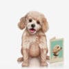 - 327-1008_1