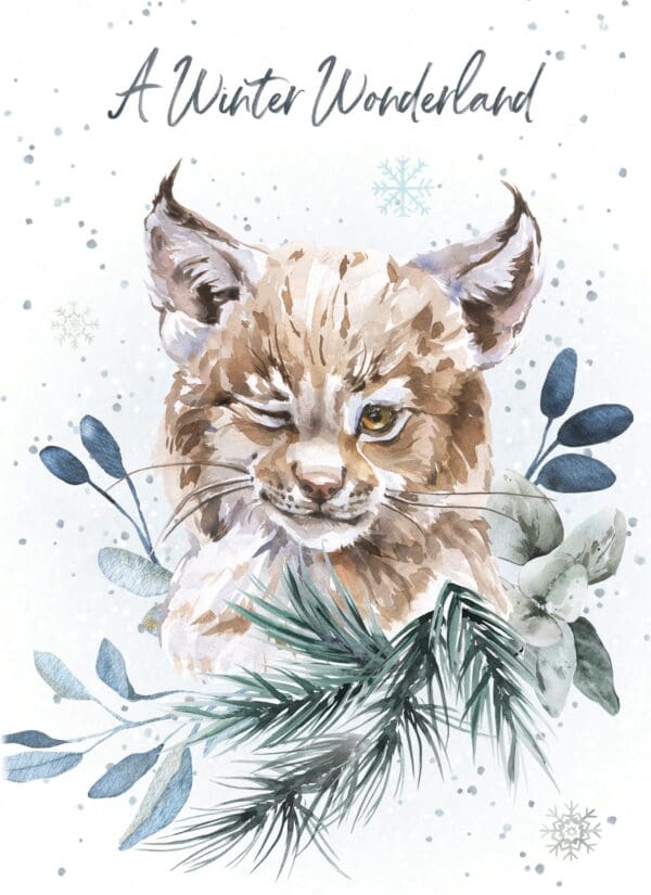 - 8947-XMHOP0007_lg