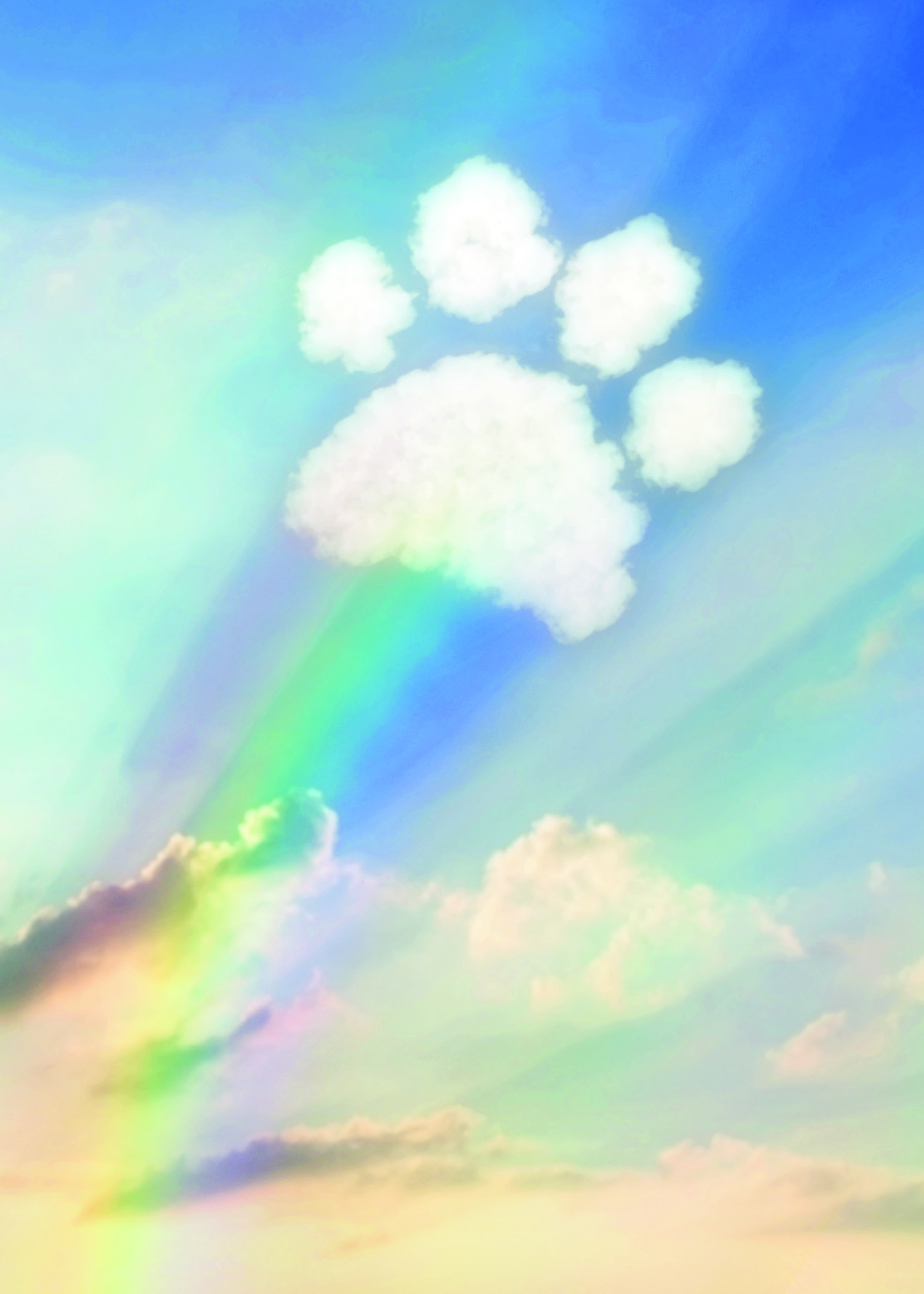 Pet Sympathy