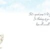 - 947-HOP0362_1_lg-1jpg