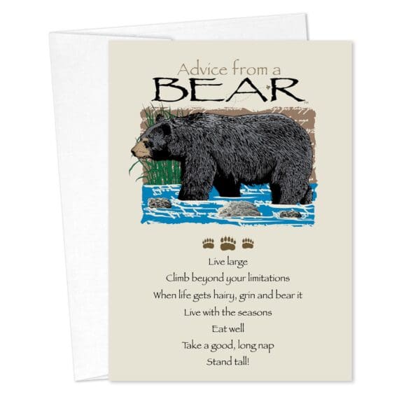 - 235-001-ADVBEAR-BD_lgjpg