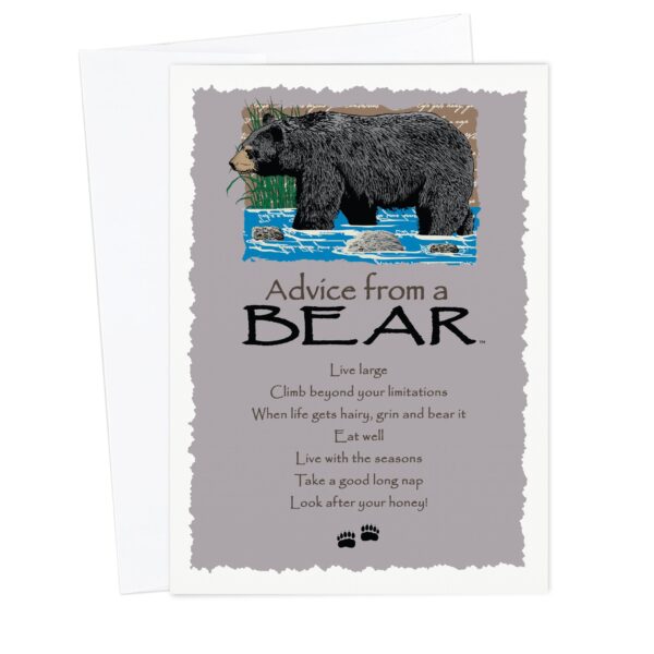 - 235-002-ADVBEAR-BL_lgjpg