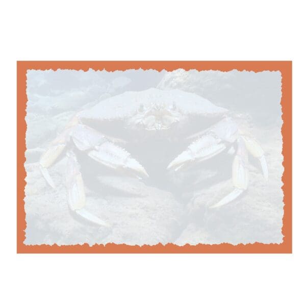 - 235-015-ADVCRAB-BL_1_lgjpg