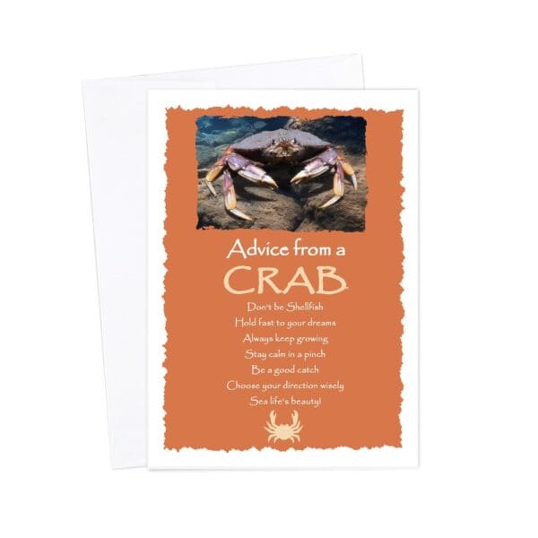 - 235-015-ADVCRAB-BL_lgjpg