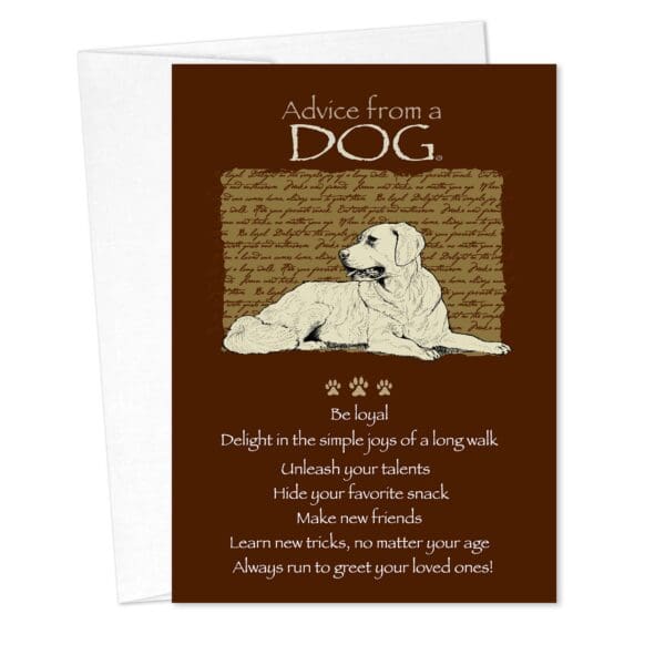 - 235-018-ADVDOG-BD_lgjpg