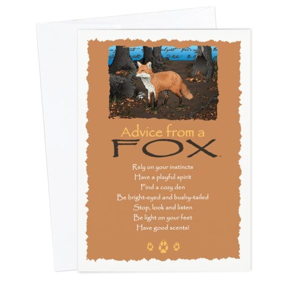 - 235-029-ADVFOX-BL_lgjpg