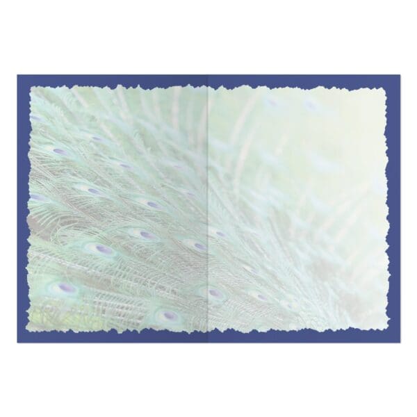 - 235-064-ADVPEACK-BL_1_lgjpg