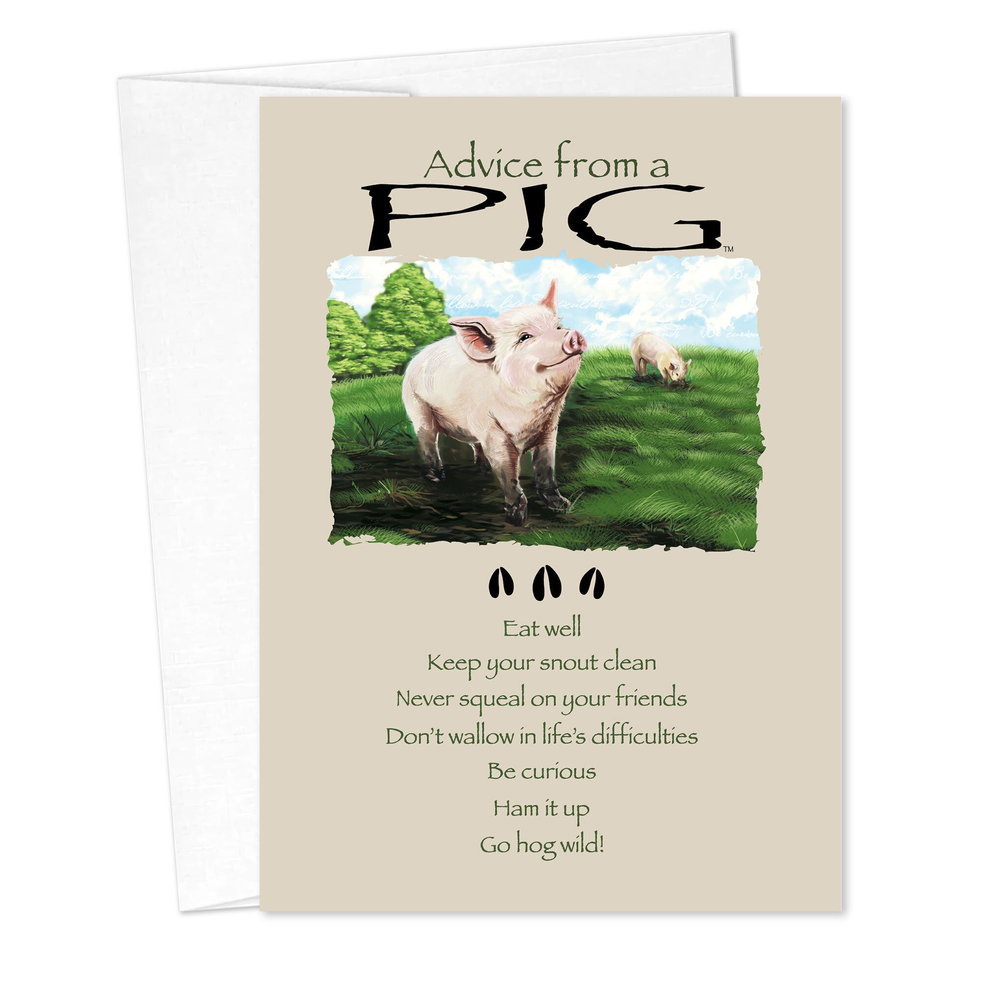 - 235-065-ADVPIG-BD_lgjpg