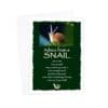 - 235-076-ADVSNAIL-BL_lgjpg
