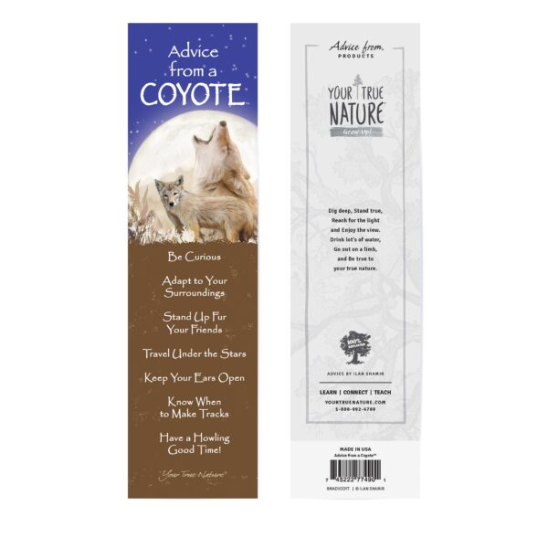 - 235-BMADVCOYT12_lgjpg