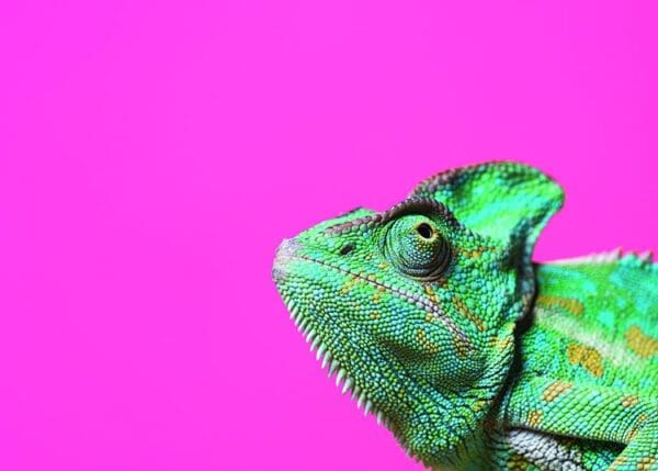 - 2800-774-01401_lgjpg