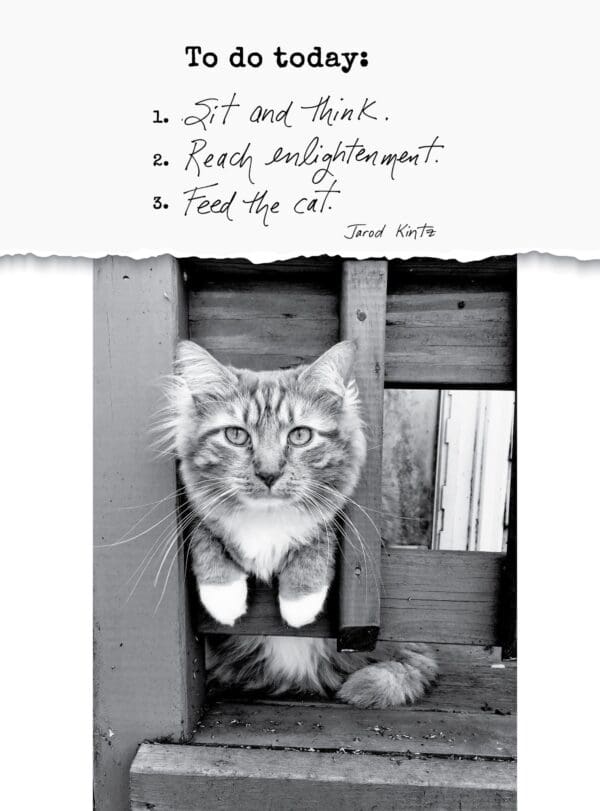 - 5521-C599R_lgjpg