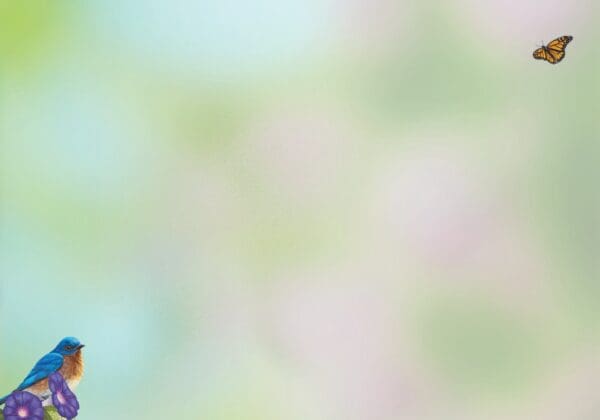 - 564-IOPE0181L_1_lgjpg