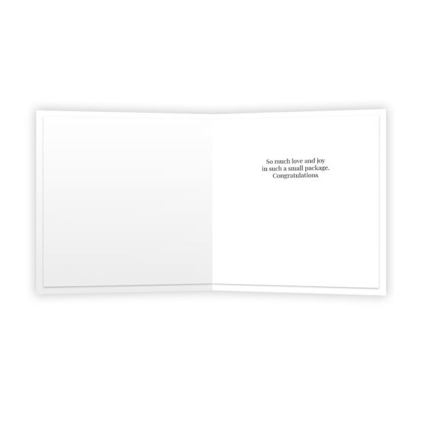 - 644-QUILL0084_1_lgjpg