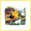 - 644-QUILL0191_lgjpg