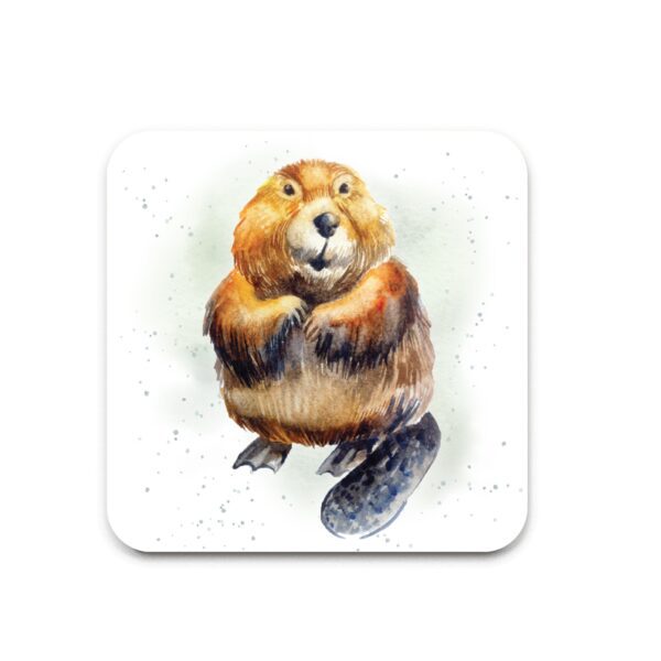 - 947A-COA0101_lg